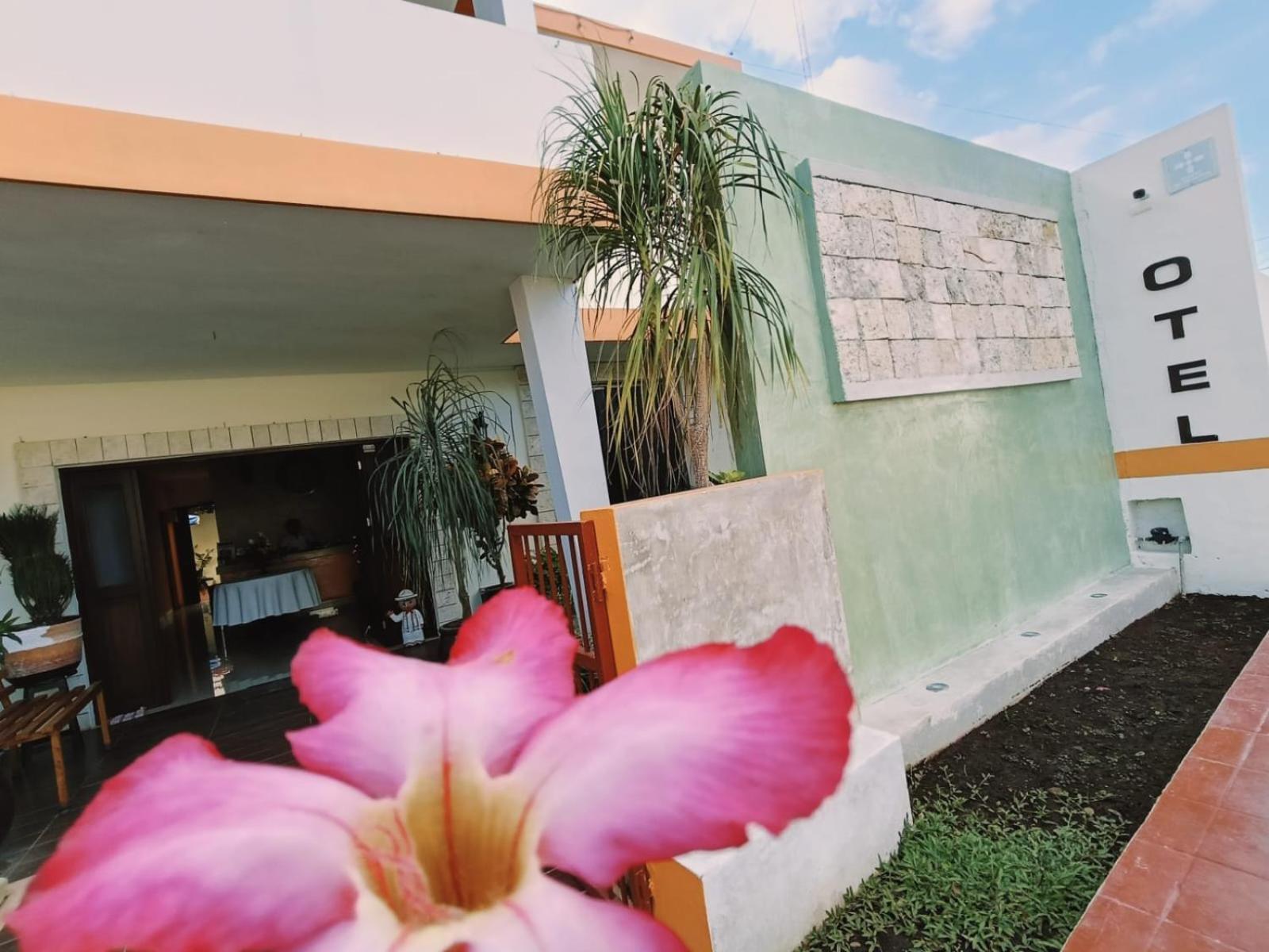 Hotel Casa Rosario 巴利亚多利德 外观 照片